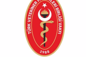 WhatsApp Image 2025-04-26 at 13.39.54