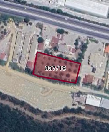 WhatsApp Image 2025-04-26 at 14.19.11