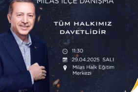 WhatsApp Image 2025-04-26 at 16.13.13