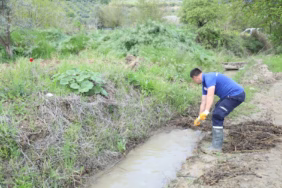 WhatsApp Image 2025-04-28 at 13.45.50