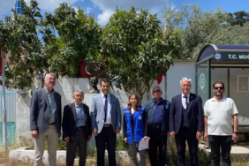 WhatsApp Image 2025-04-30 at 18.40.38