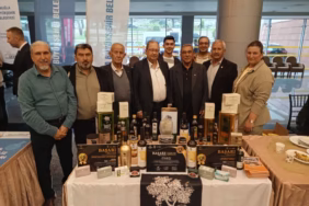 WhatsApp Image 2025-04-30 at 19.53.47