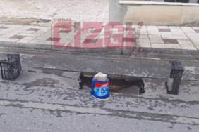 3e06ac2f-73dc-4ef4-b0f5-79e969493194