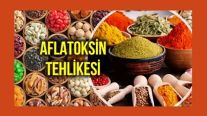 Adsız tasarım (1)