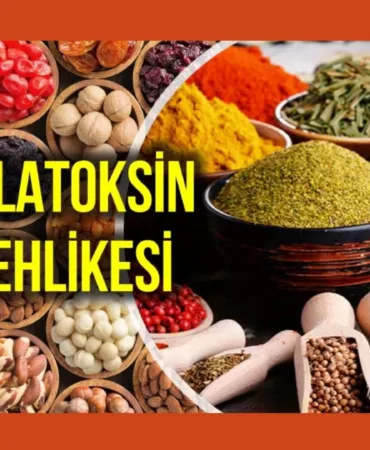Adsız tasarım (1)