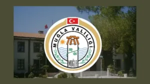 Adsız tasarım