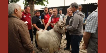 Adsız tasarım