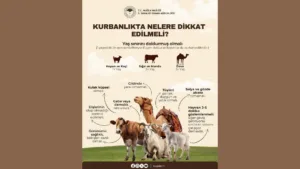 Adsız tasarım