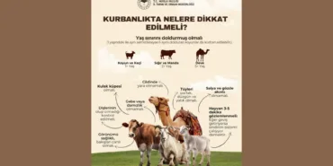 Adsız tasarım