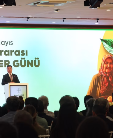 Adsız tasarım