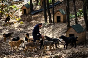 Beykoz-Hayvan-Rehabilitasyon-Merkezi-ve-Dogal-Yasam-Alani-4