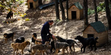 Beykoz-Hayvan-Rehabilitasyon-Merkezi-ve-Dogal-Yasam-Alani-4