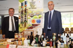 WhatsApp-Image-2025-04-30-at-2