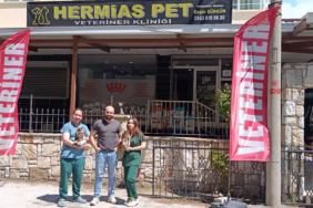 WhatsApp Image 2025-05-03 at 14.17.14