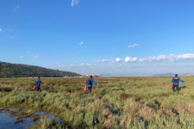 WhatsApp Image 2025-05-09 at 15.19.29