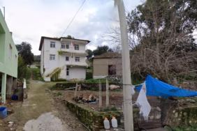 WhatsApp Image 2025-05-12 at 10.50.16