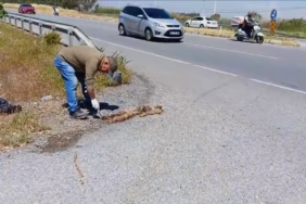 WhatsApp Image 2025-05-12 at 10.56.02