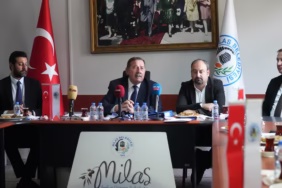 WhatsApp Image 2025-05-12 at 13.35.22