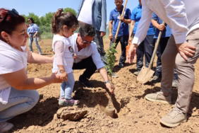 WhatsApp Image 2025-05-12 at 14.42.56 (2)