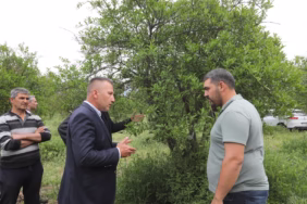 WhatsApp Image 2025-05-13 at 11.14.25