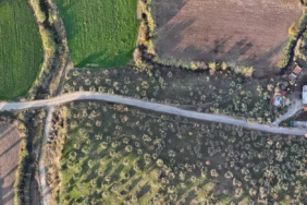 WhatsApp Image 2025-05-13 at 11.23.30 (1)