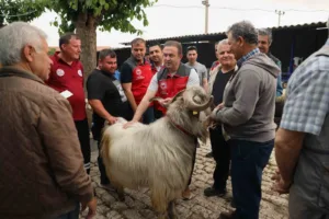kurban-pazarlarinda-saglik-ve-hijyen-kontrolu-upper-tr-EYNqLdcn.jpg
