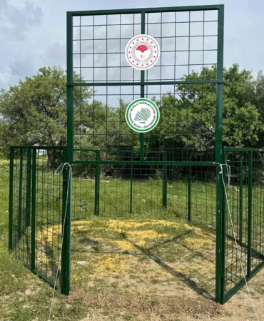 kusadasinda-yaban-domuzlarina-karsi-termal-dronlu-mucadele-upper-tr-8f9r5sqG.jpg