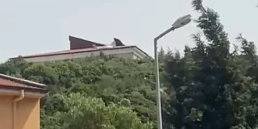 okulçatısı
