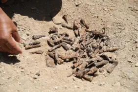 506810934_1276087487853154_2569765073263943401_n