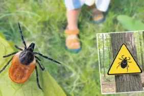 68434ae5a12e54de7c113043