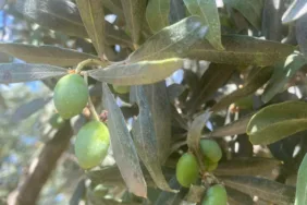 99c899c7-340d-4ab0-adab-86dc1a611979