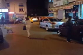 MUĞLA VALİLİĞİ: "HERHANGİ BİR OLUMSUZLUK YOK, SAHA TARAMA ÇALIŞMALARI SÜRÜYOR"