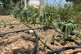 WhatsApp Görsel 2025-06-12 saat 16.20.55_cf305fe2