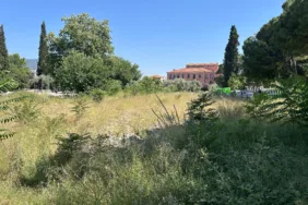 WhatsApp Görsel 2025-06-16 saat 16.17.31_119fbc3b