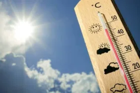 WhatsApp Görsel 2025-06-25 saat 14.03.02_850f8c3c