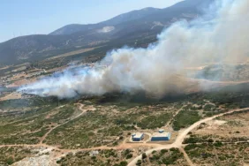 WhatsApp Görsel 2025-06-29 saat 16.11.12_67c91845