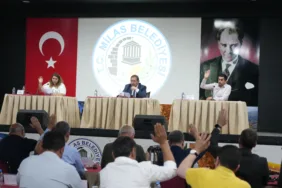 WhatsApp Image 2025-06-03 at 17.14.07 (1)