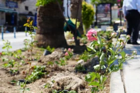 WhatsApp Image 2025-06-04 at 14.06.24 (1)