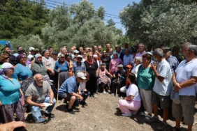 WhatsApp Image 2025-06-23 at 17.45.12 (1)