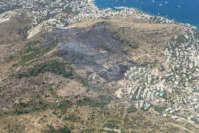 bodrum-turkbuku-yangini-kontrol-altina-alindi-srOUvOIr.jpg