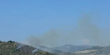 bodrumda-makilik-alanda-yangin-cikti-TUDHQf7T.jpg