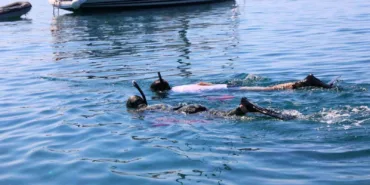 deniz-dibi-temizligi-suruyor-VEvEF5QB.jpg