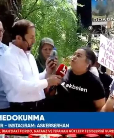 güzel