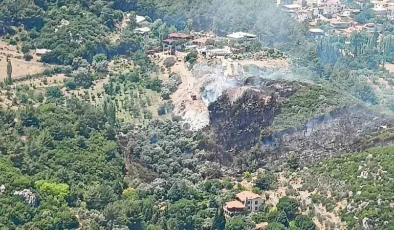izmir-kemalpasada-orman-yangini-OncdJOlA.jpg