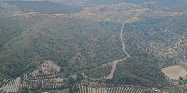 izmirde-ormanlik-arazide-cikan-yangin-kontrol-altinda-EQ29lhln.jpg