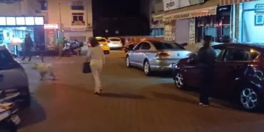 mugla-valiligi-herhangi-bir-olumsuzluk-yok-saha-tarama-calismalari-suruyor-erdtgVZs.jpg