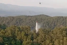 mugla-ve-aydindaki-orman-yanginlari-buyumeden-sonduruldu-n9b9C29C.jpg
