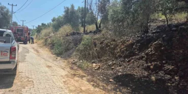ulada-yol-kenarinda-cikan-yangin-korkuttu-qCEJccRu.jpg