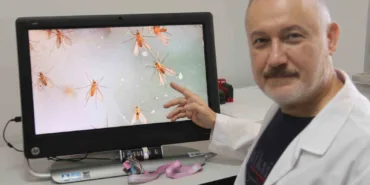 uzmanlardan-yakarca-uyarisi-HOfTDSTI.jpg