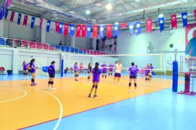 29178b39-b94c-470a-8d7f-89dc6c454de2